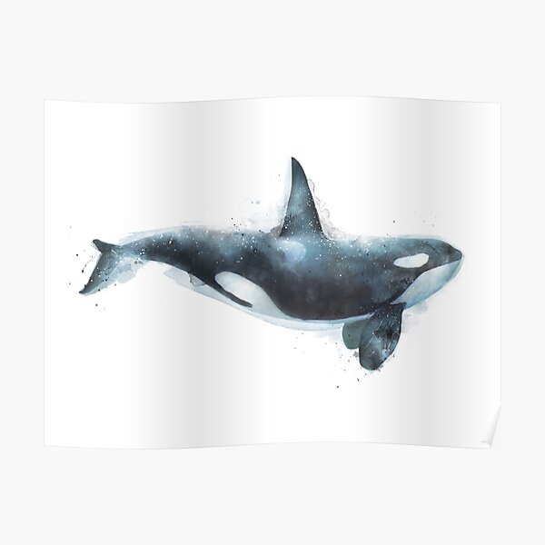 Orca Poster