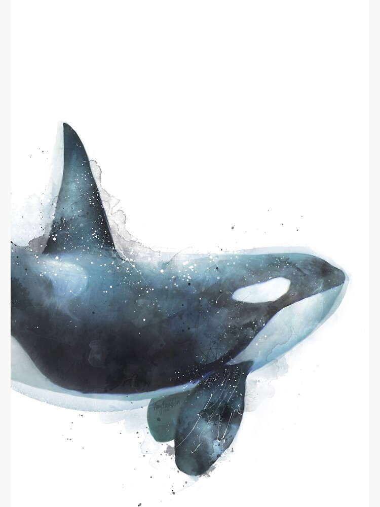 Orca by AmyHamilton