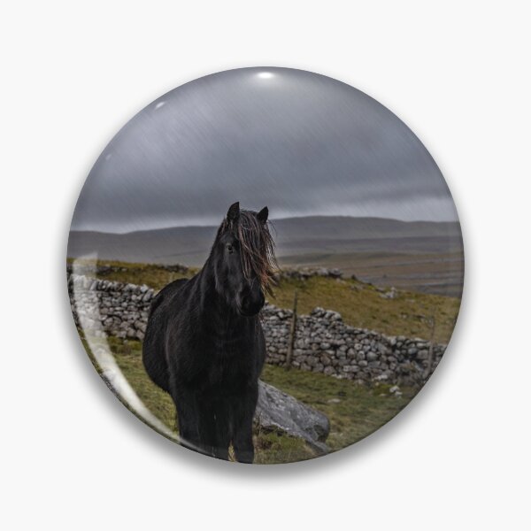 Item preview, Dales Pony in the rain designed and sold by MJ-Piccys.