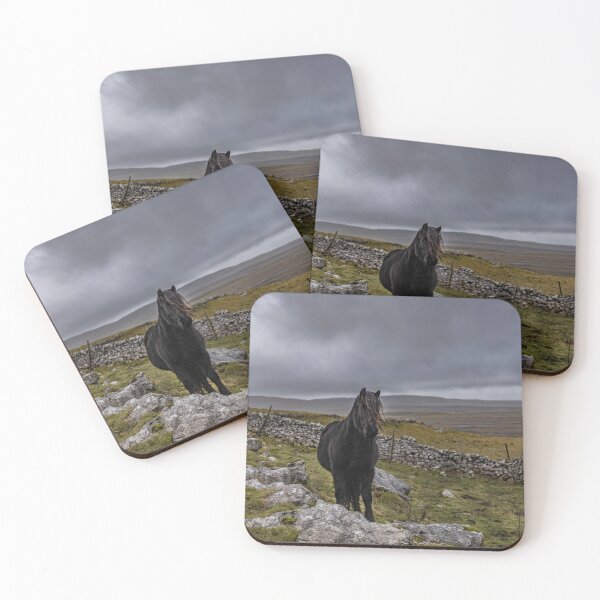 Item preview, Dales Pony in the rain designed and sold by MJ-Piccys.