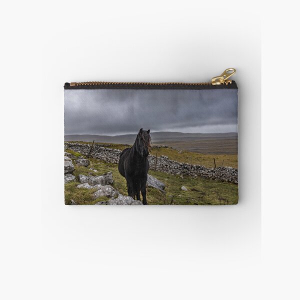 Item preview, Dales Pony in the rain designed and sold by MJ-Piccys.