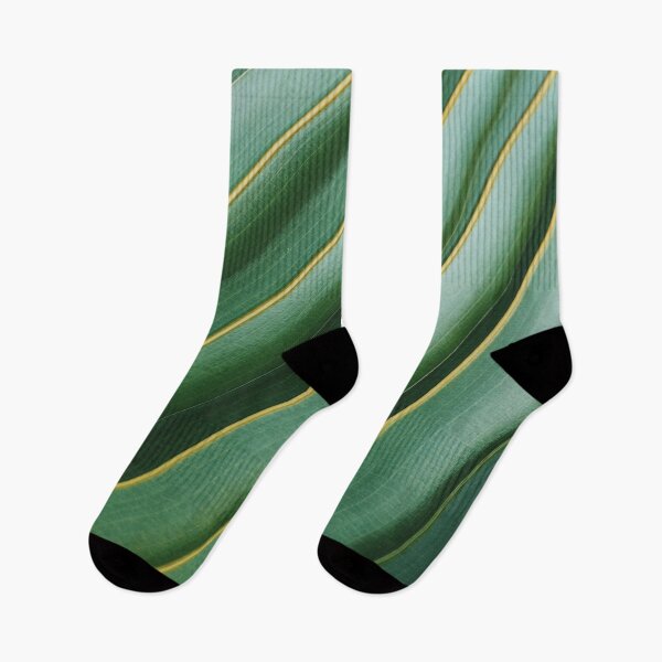 Item preview, My design is about tree leaf designed and sold by Fouad1990.