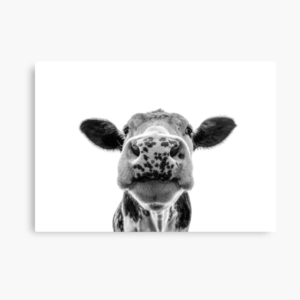 Item preview,  Black and White Cow Print designed and sold by Chantelle Flores.
