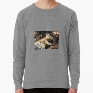 Lightweight Sweatshirt