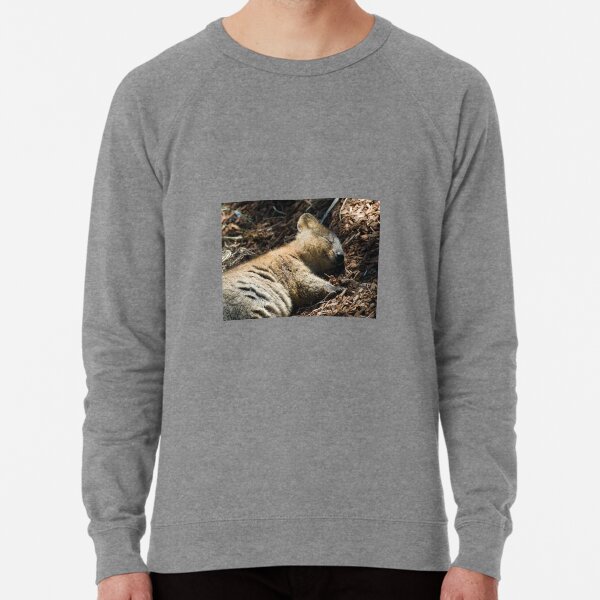 Lightweight Sweatshirt
