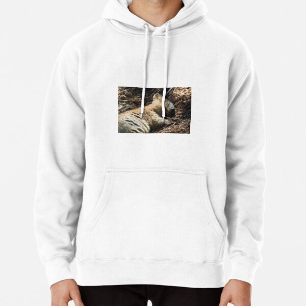 Hoodie (Pullover)