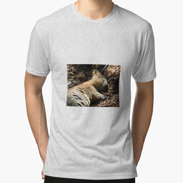 Tri-blend T-Shirt