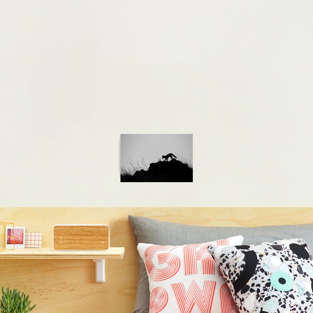 Monochrome Fox Photographic Print