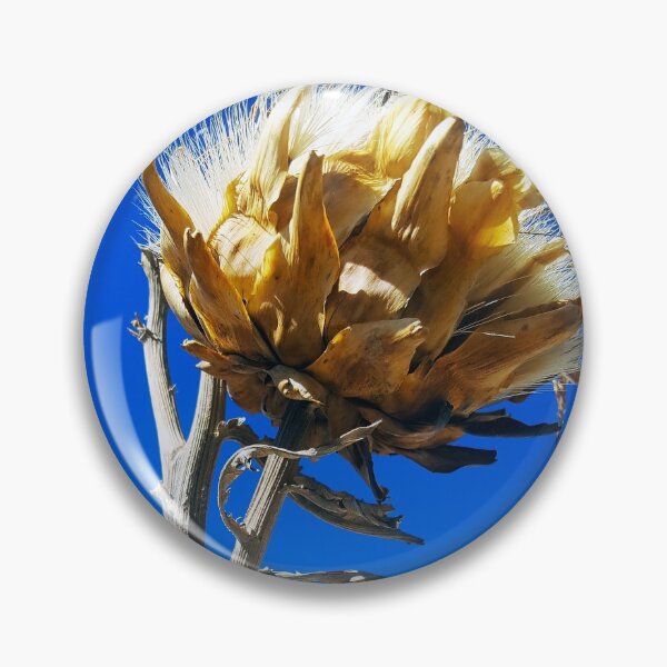Item preview, Dried seed head against a bright blue sky background. designed and sold by janesg.