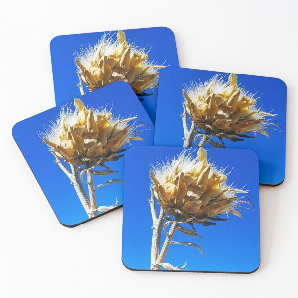 Item preview, Dried seed head against a bright blue sky background. designed and sold by janesg.