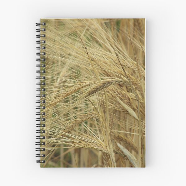 Item preview, Grain designed and sold by rhamm.