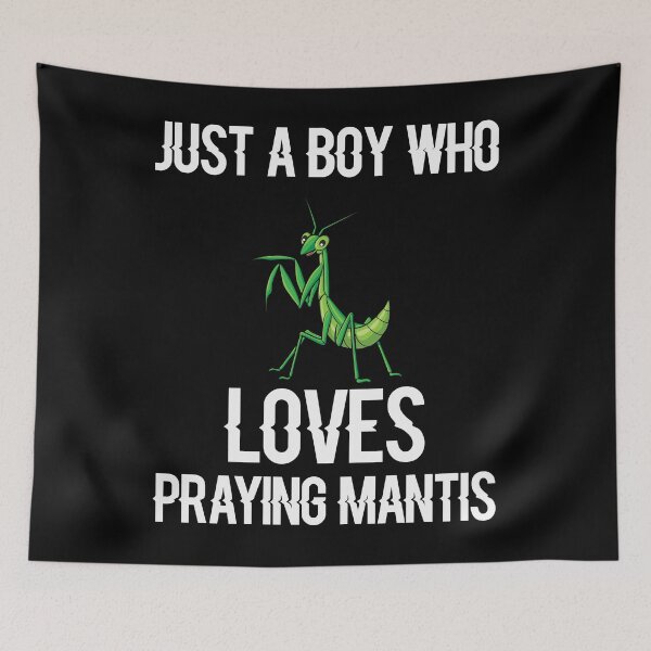 Item preview, Praying Mantis Just a boy of the Mantis Mag designed and sold by ElBeDesigns.