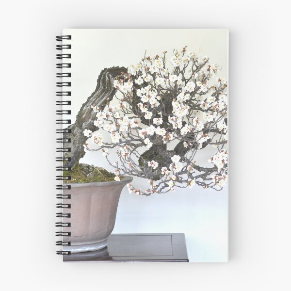 Item preview, Ume Bonsai designed and sold by tyroneslothrop.