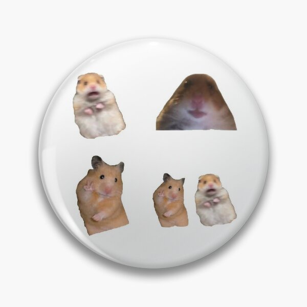 Hamster Meme Pfp Swag / The Hamster Meme Staring Image Page 1 Line 17qq