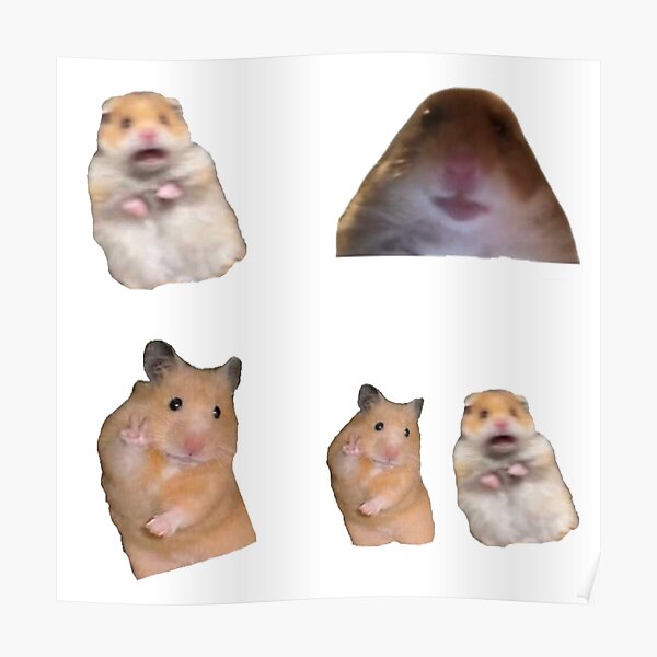 Hamster Meme Posters Redbubble