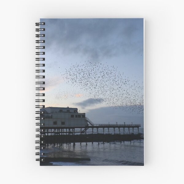Item preview, Murmuration in Aberystwyth designed and sold by GreyFeatherPhot.