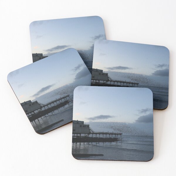 Item preview, Aberystwyth starlings designed and sold by GreyFeatherPhot.