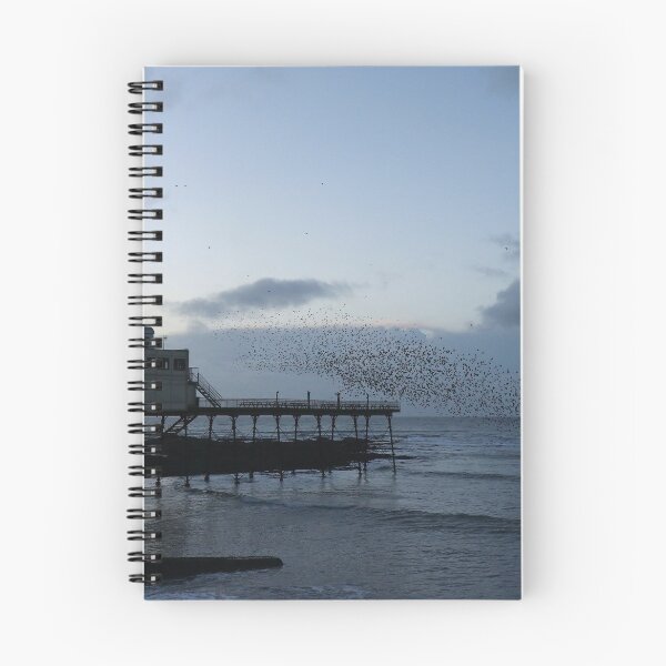 Item preview, Aberystwyth starlings designed and sold by GreyFeatherPhot.