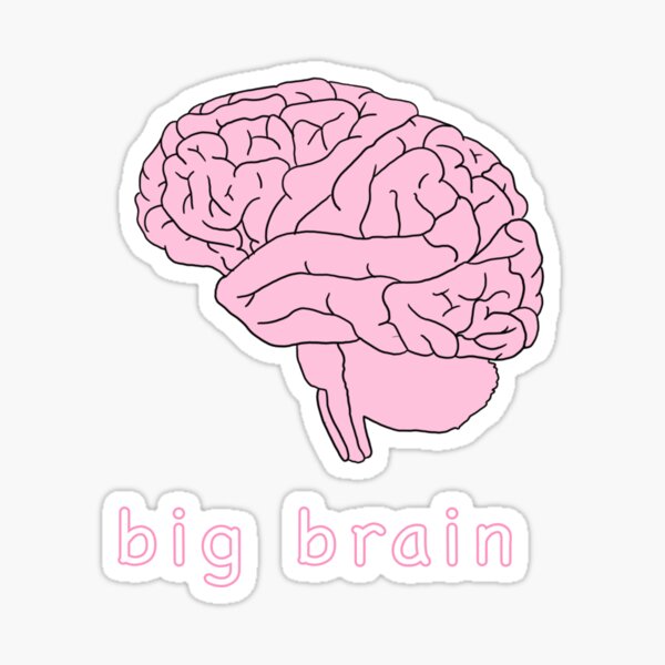 Big Brain Sticker