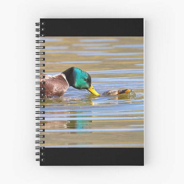 Item preview, Mallard Courtship designed and sold by WorldDesign.