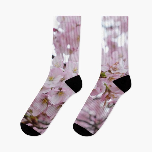 Item preview, Cherry Blossoms in Washington DC, Cherry Blossoms Washington DC, Cherry Blossom Washington DC designed and sold by naturecdesigns.