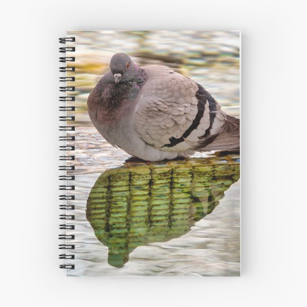 Item preview, Pigeon designed and sold by troianifabrizio.
