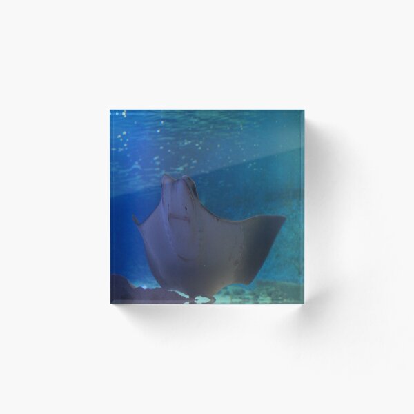 Item preview, Fish designed and sold by Randale01.