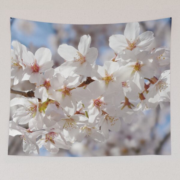 Item preview, White Cherry Blossoms in Washington DC designed and sold by naturecdesigns.