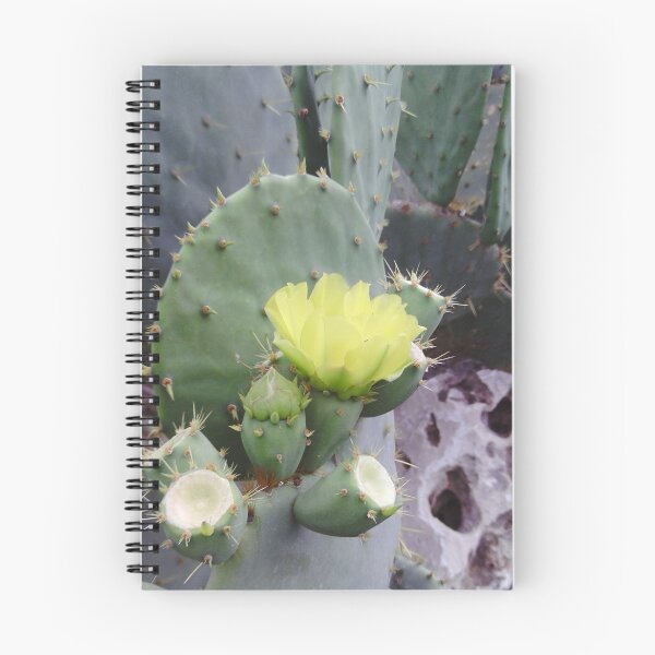 Item preview, Cactus Bloom designed and sold by Twigster.
