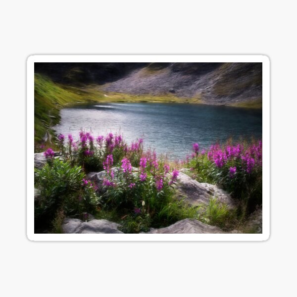 Item preview, Fireweed and Water - Hatcher Pass, Alaska designed and sold by Kathy Weaver.