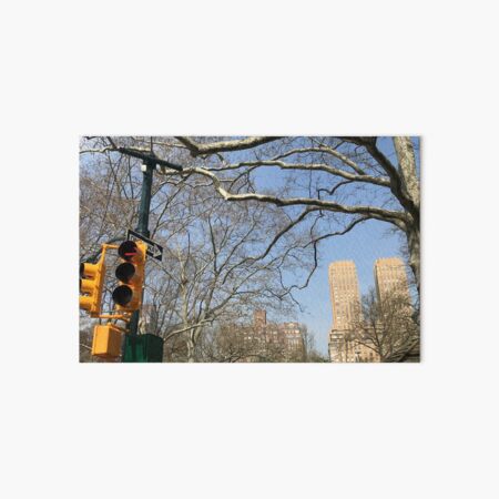 Artikel-Vorschau von Central Park, NY, NY, designt und verkauft von Candace Offman.
