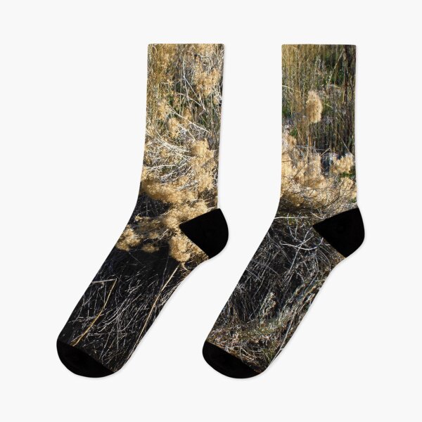 Item preview, Beautiful fall season photography designed and sold by Ventures1.