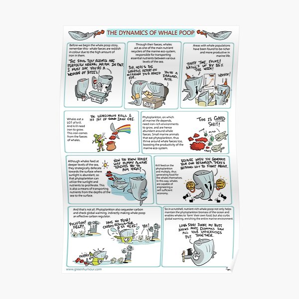The Dynamics of Whale Poop Poster