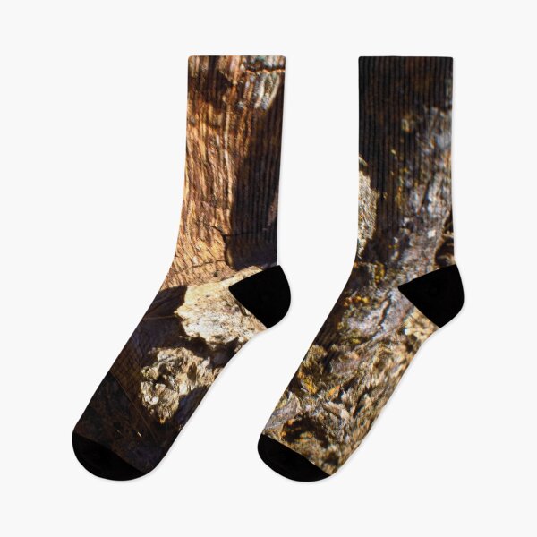 Item preview, Beautiful fall season photography designed and sold by Ventures1.