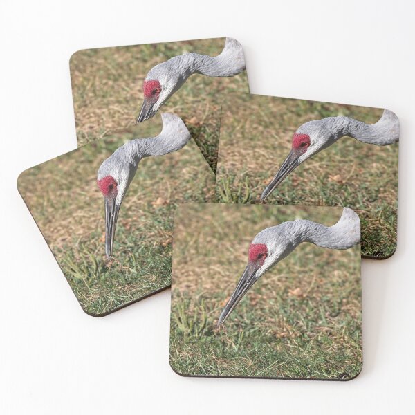 Item preview, Sandhill Crane 7 designed and sold by StevenRalserPhoto.