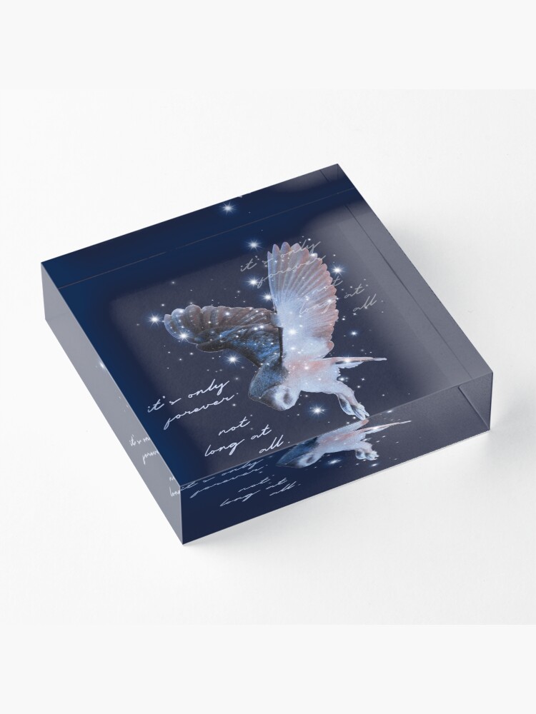 Alternate view of it's only forever Acrylic Block