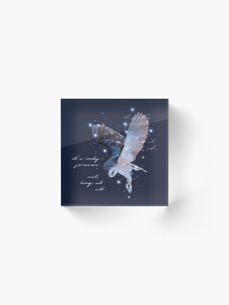 Alternate view of it's only forever Acrylic Block