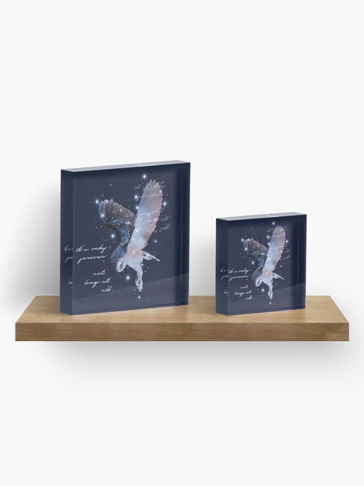 Alternate view of it's only forever Acrylic Block