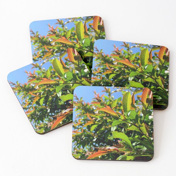 Item preview, Outdoor Foliage Shines in the Summertime designed and sold by Candace Offman.