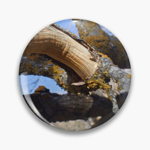 Item preview, Beautiful fall season photography designed and sold by Ventures1.