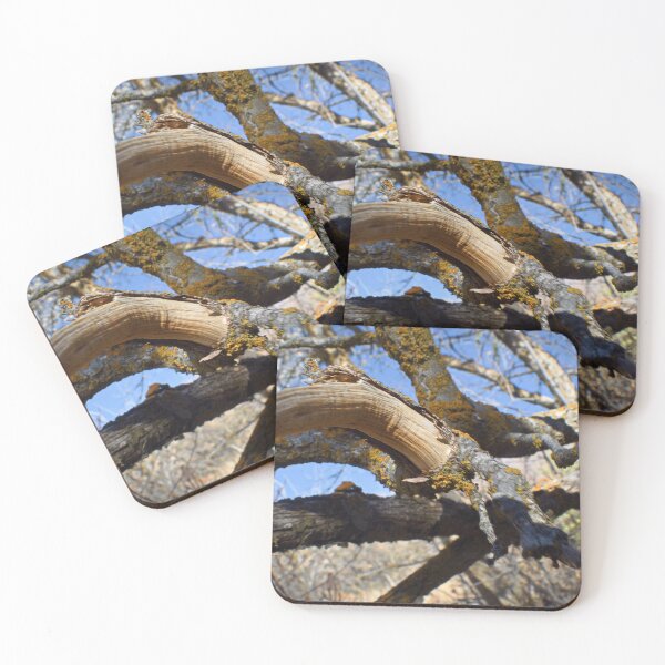 Item preview, Beautiful fall season photography designed and sold by Ventures1.