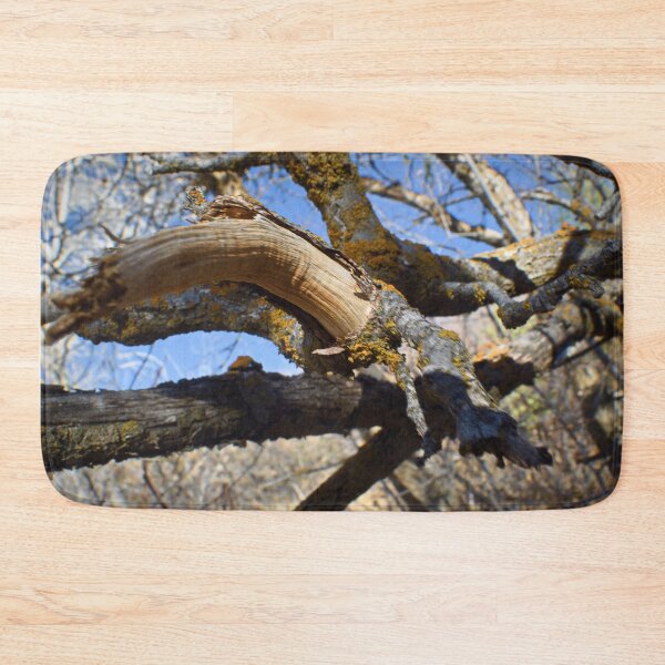 Item preview, Beautiful fall season photography designed and sold by Ventures1.