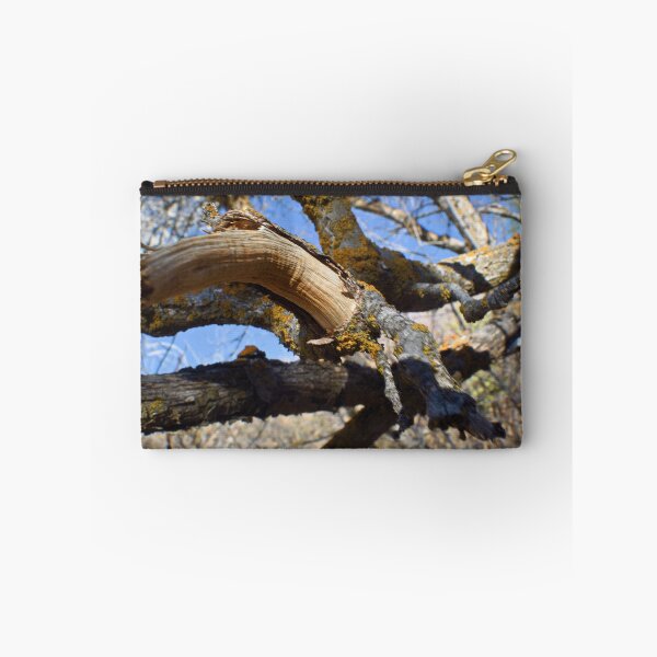 Item preview, Beautiful fall season photography designed and sold by Ventures1.