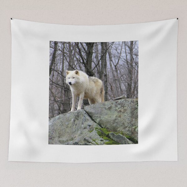 Item preview, Arctic Wolf Ready to Pounce designed and sold by vette.