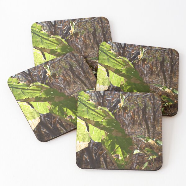 Item preview, Beautiful fall season photography designed and sold by Ventures1.
