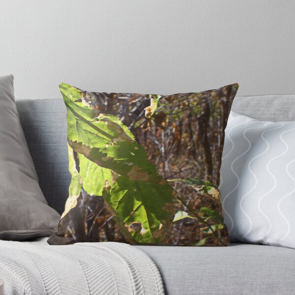 Item preview, Beautiful fall season photography designed and sold by Ventures1.