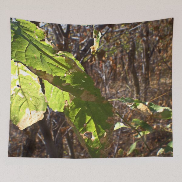 Item preview, Beautiful fall season photography designed and sold by Ventures1.