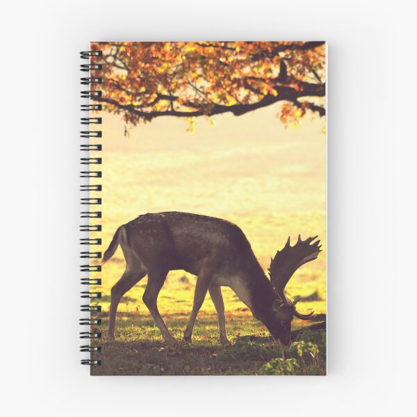 Item preview, Petworth Park - Stag Do designed and sold by jamesmortimore.