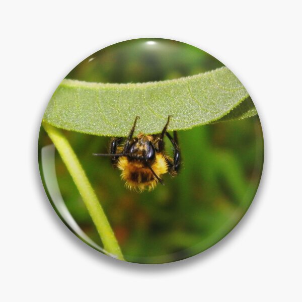 Item preview, Emerging Bee designed and sold by WildestArt.