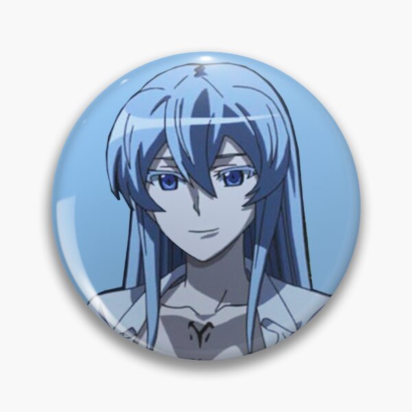 Pin On Akame Ga Kill